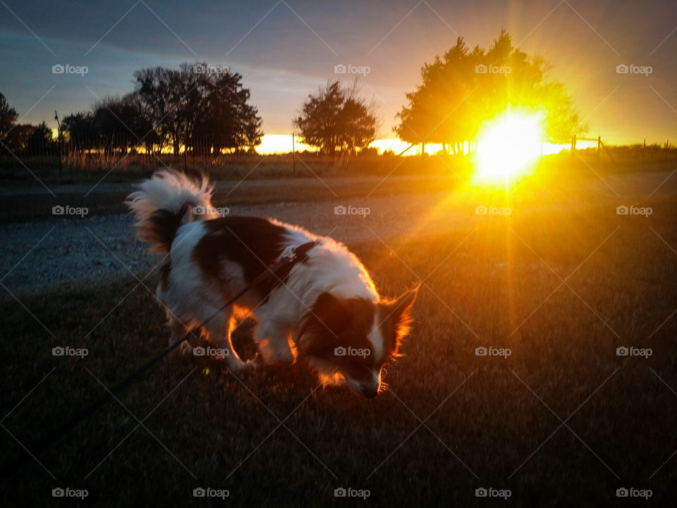 Exploring at Sunset