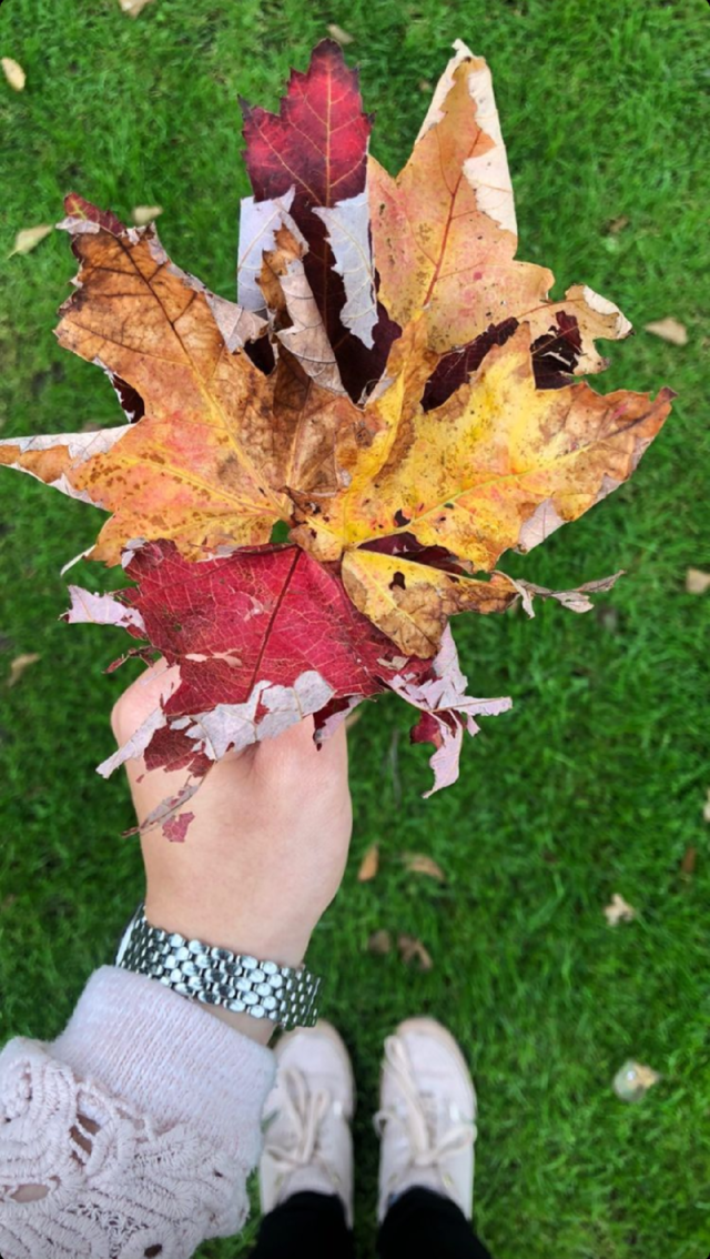 quiet autumn season