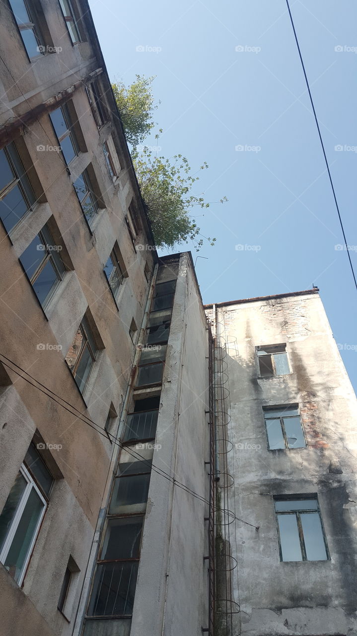 Abandoned flats in Simleu Silvaniei, Romania