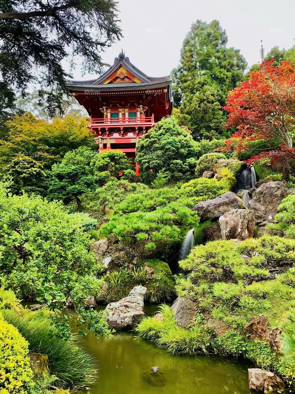 Japanese Tea Garden 