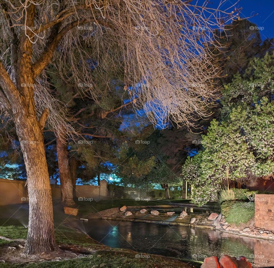 Fall in Las Vegas Nights 2023