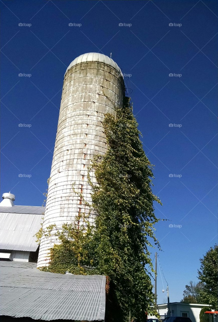 old silo