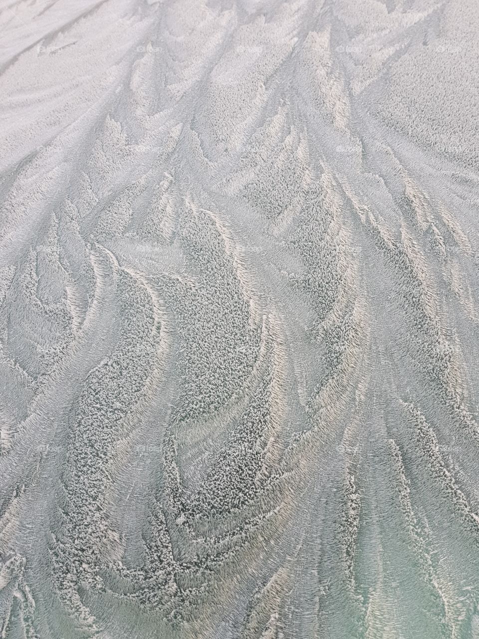 frost on car window