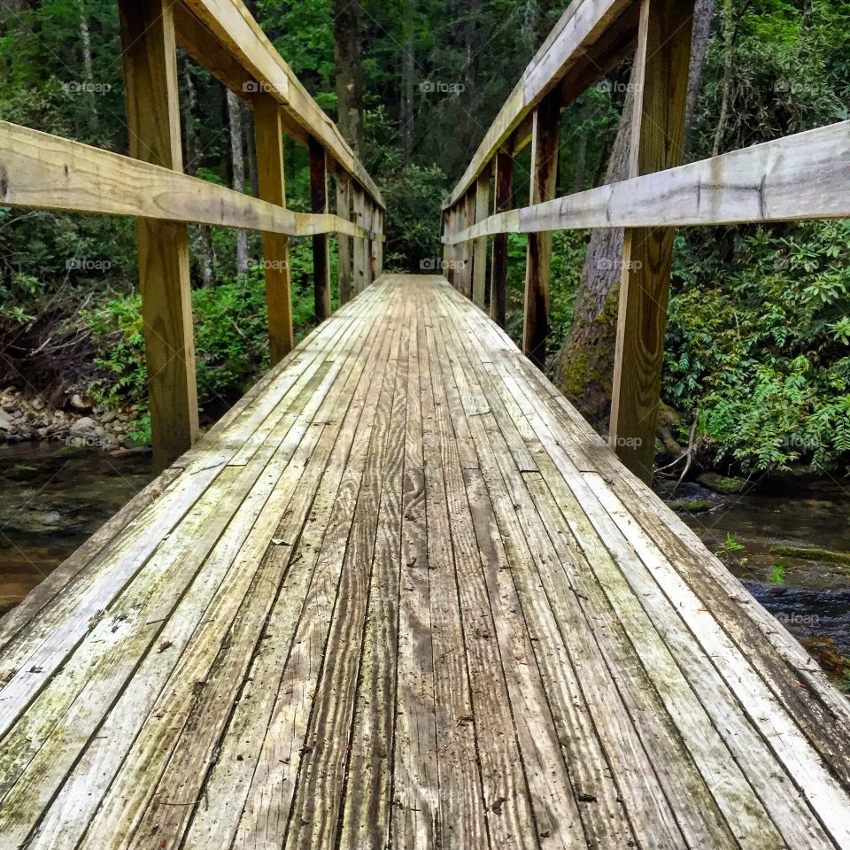 Bridge over the chattooga river 