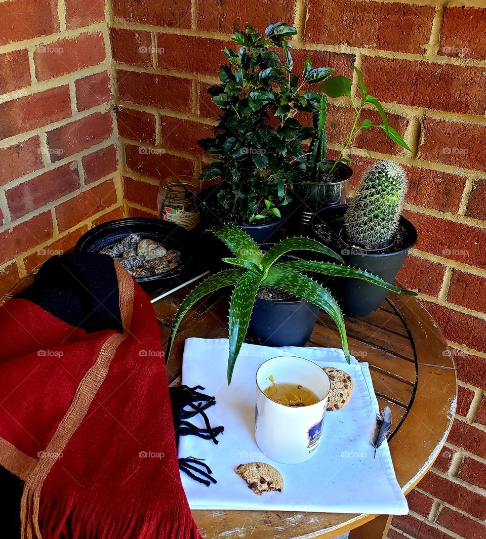 Season Fall time to fñower tea and chocolate cookies