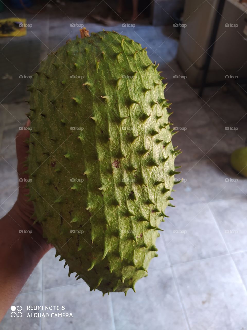 Fruit, Food, Nature, Tropical, Pulp