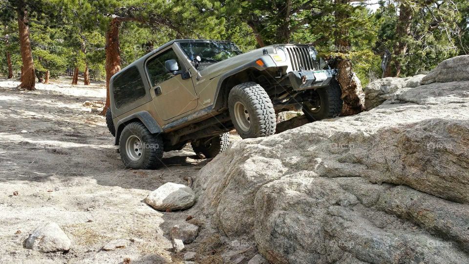 Posing on the Rocks