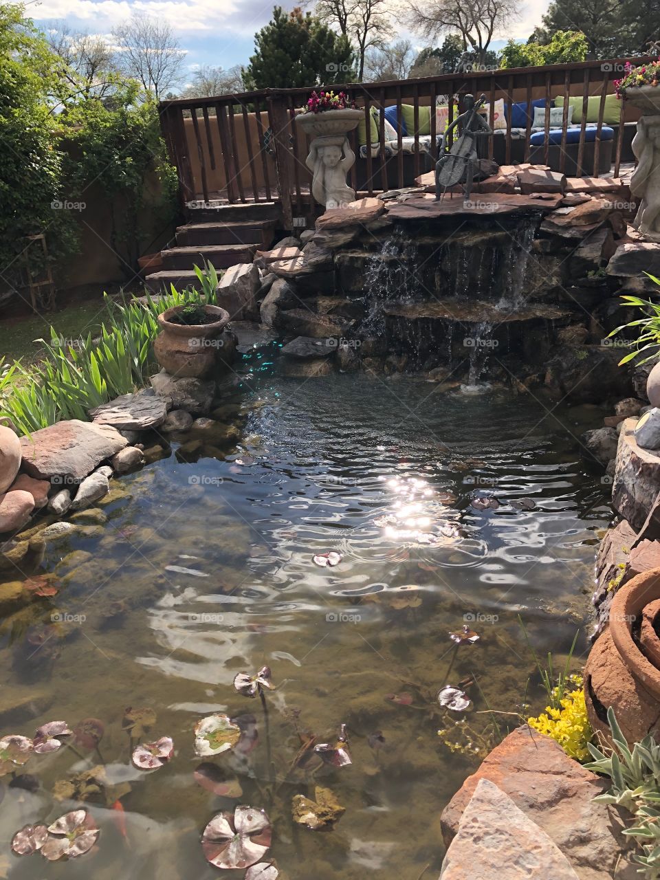 Garden pond on a spring morning