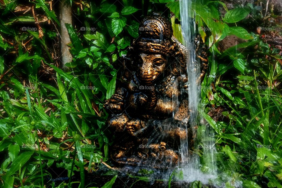 The Lord ganesha is the one revered by the Hindu world