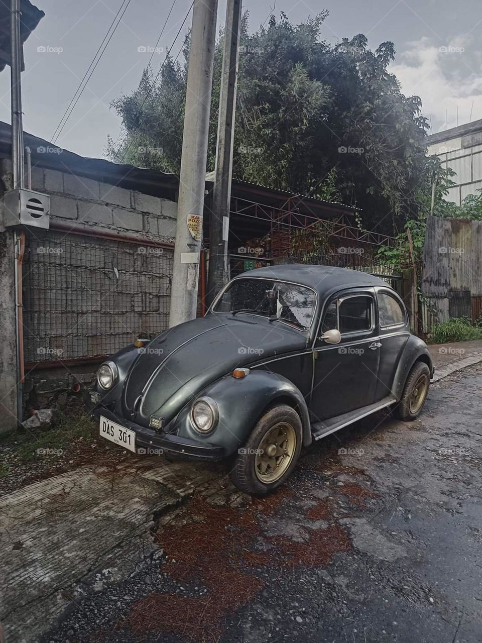 Captured this black beauty on my way up to Baguio City the summer capital of the Philippines