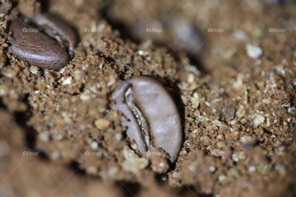 Coffee beans and ground coffee