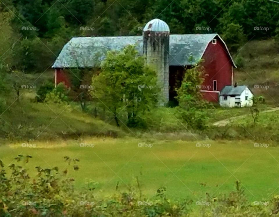 While driving the back roads we love seeing the small farms with the old buildings and the livestock. It reminds me when I was young.