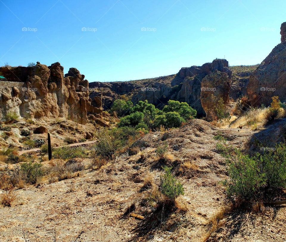 Arizona Desert Landscape
