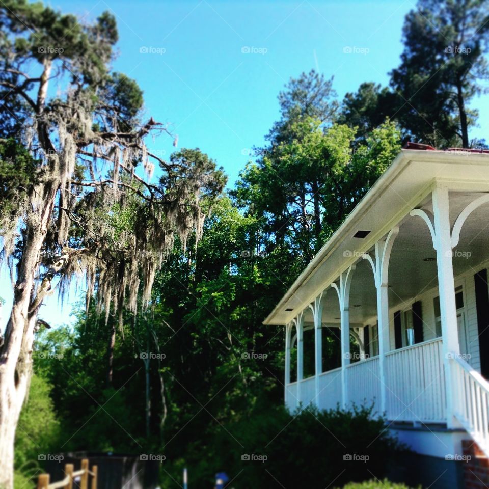 Plantation . The savannah house in Augusta GA.