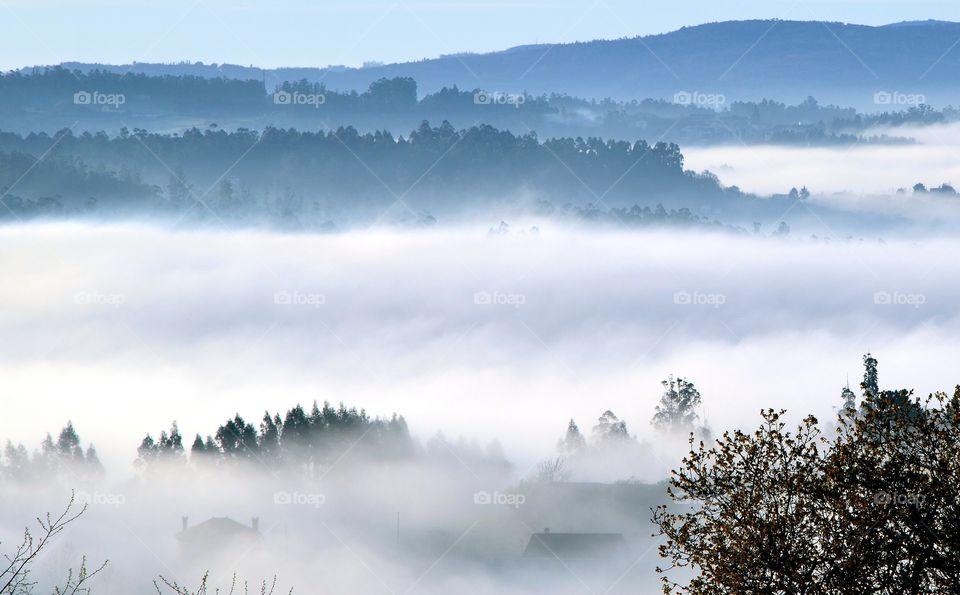 Fog in the valley