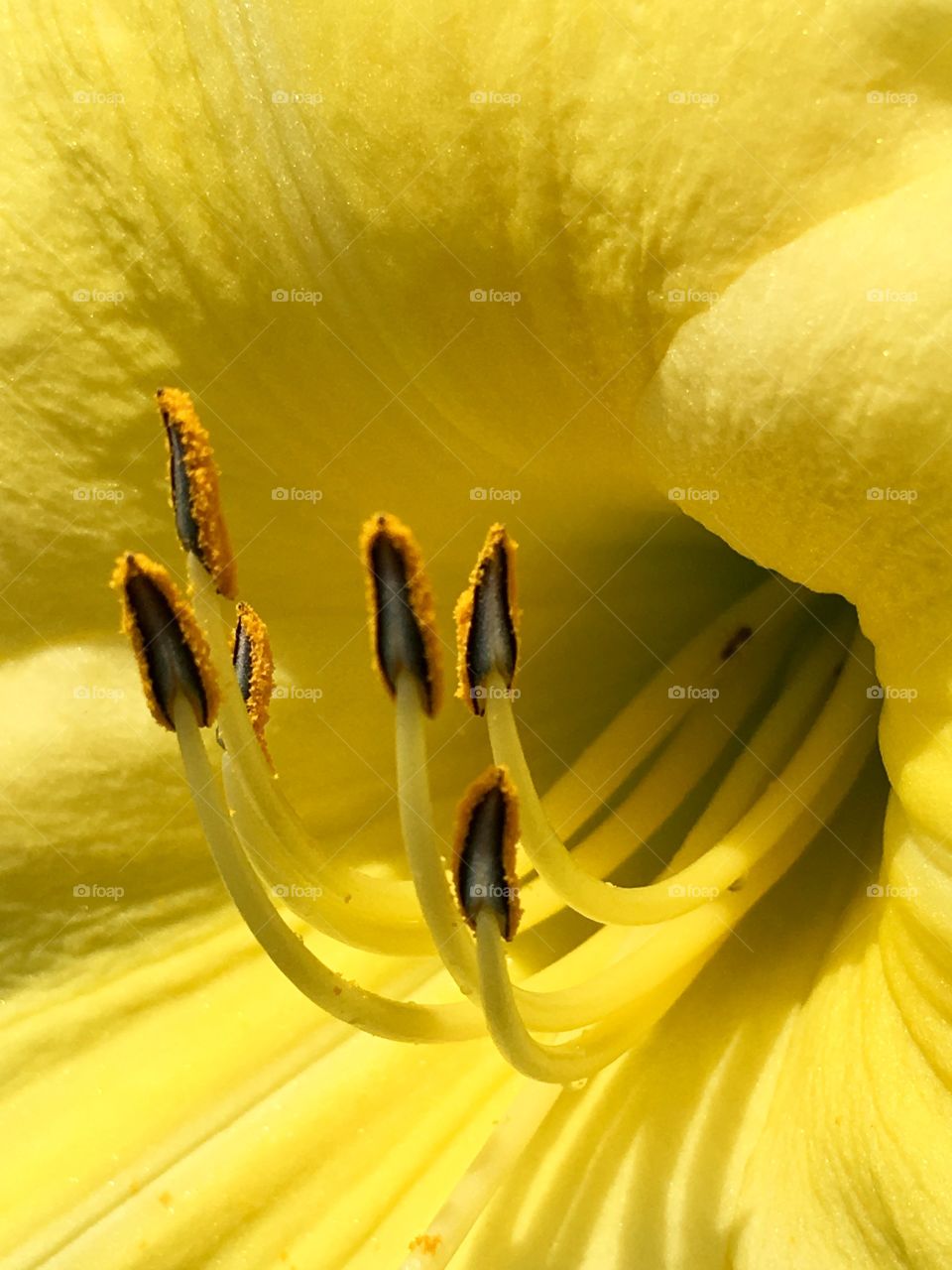 Yellow perspective 