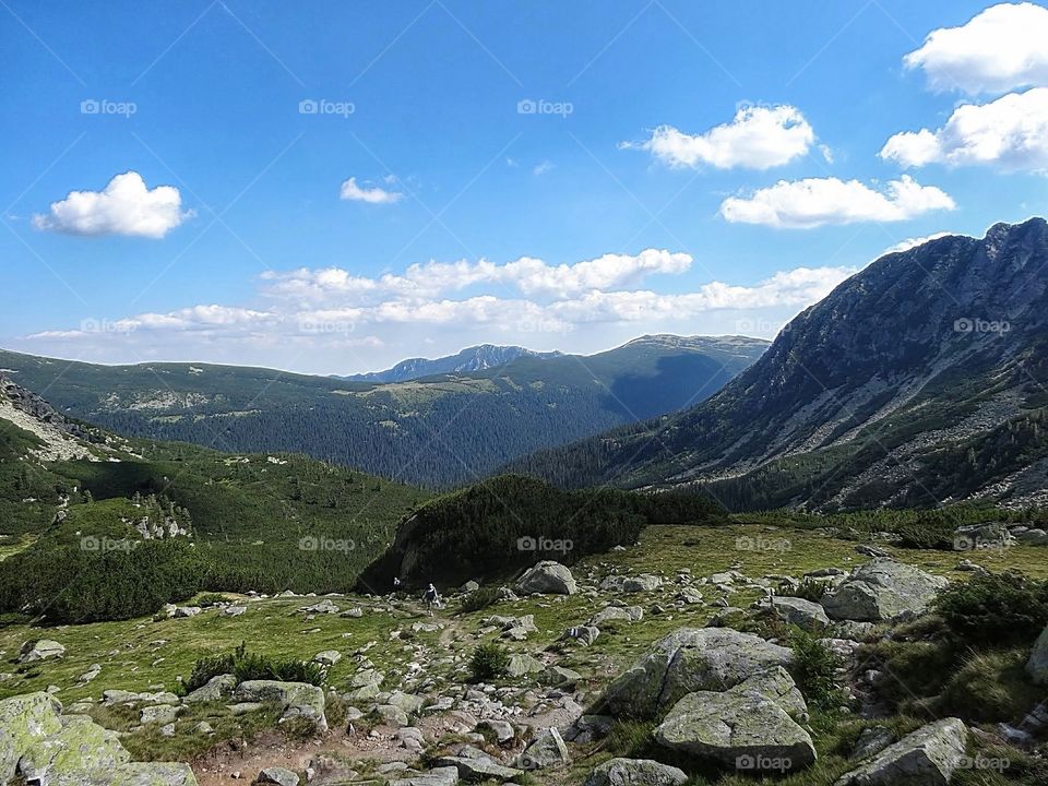 The Carpathian Mountains