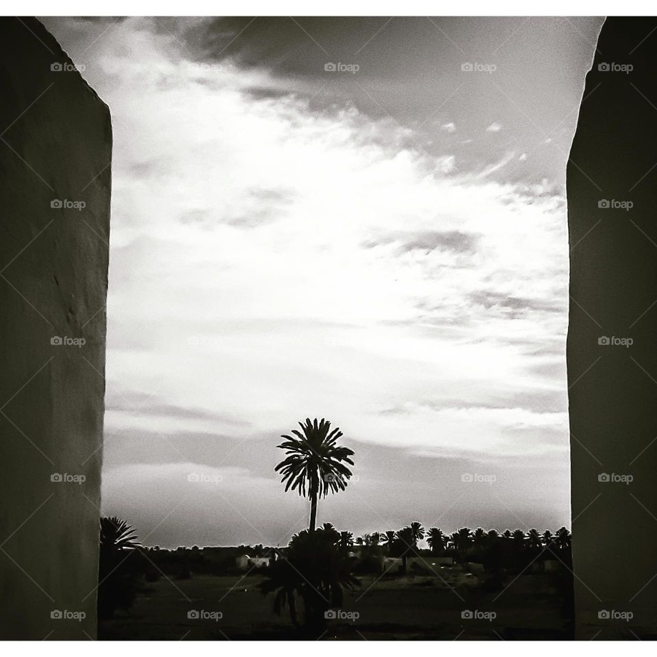 The picture bears a view of a palm forest in the interior of the island of Djerba.
I made two walls a frame for this picture.
