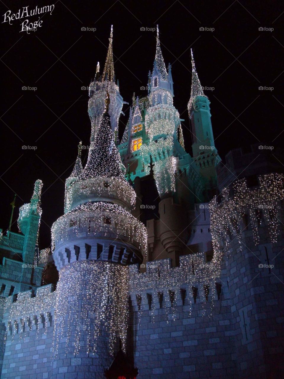 Cinderella's Castle 2