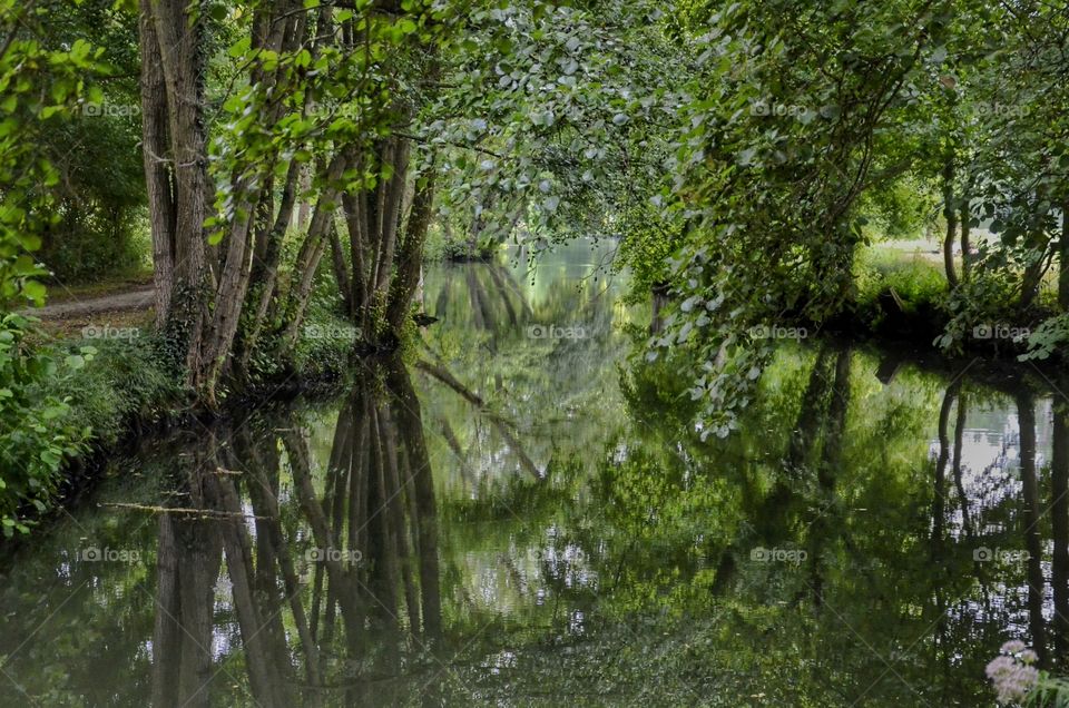 Water, Wood, Nature, Landscape, River