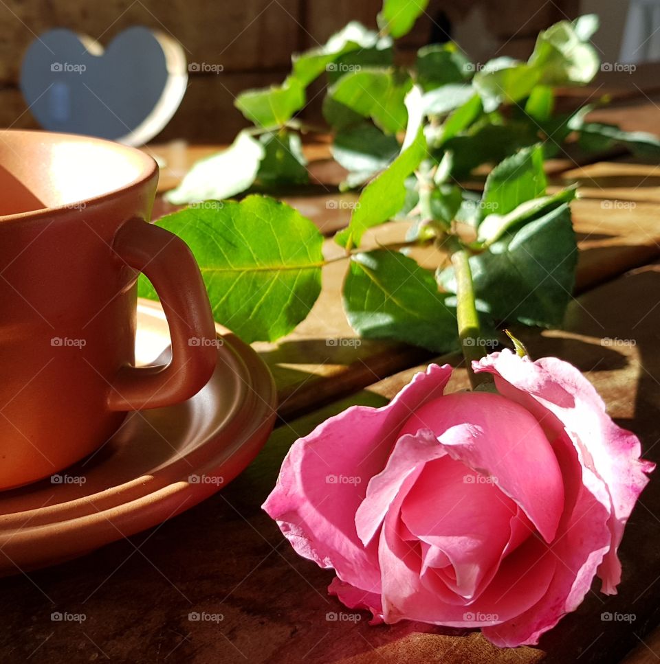 Rose and coffee in the morning