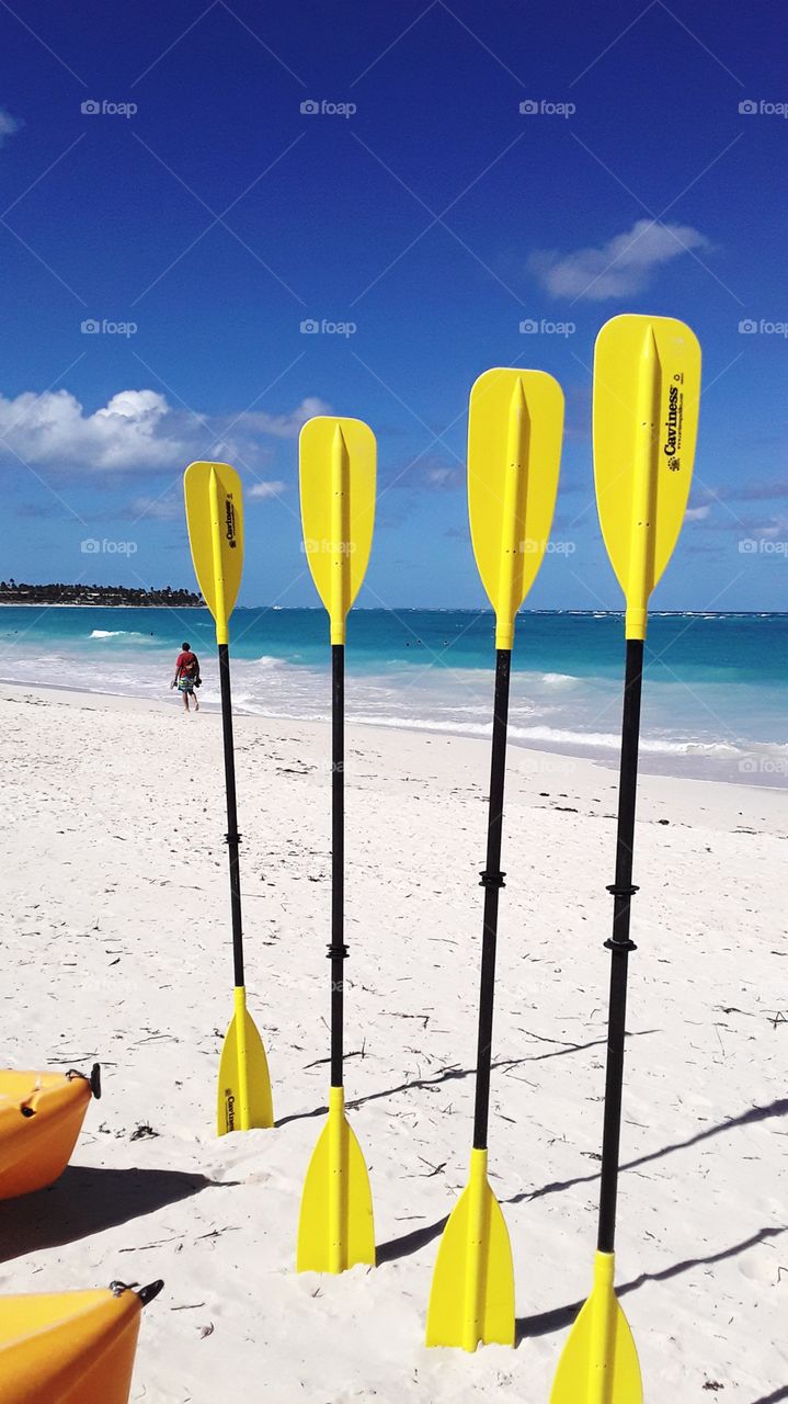 four kayak paddles on the beach