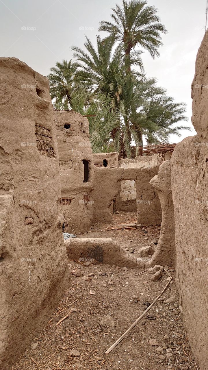 old house near River Nile used to birds breeding