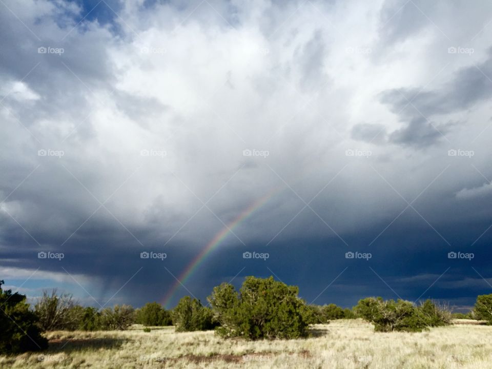 Rainbow in sky