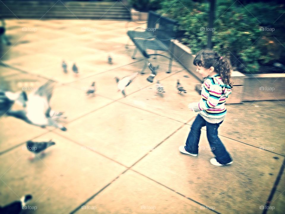 boston park plaza hotel by michelle.sarafian