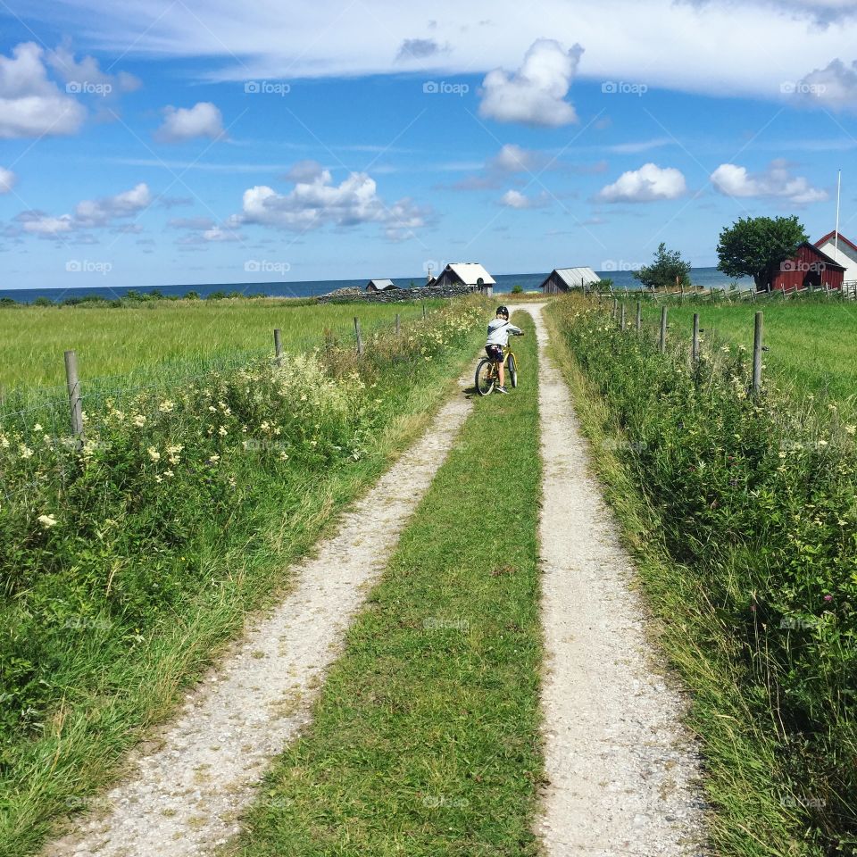 Fårö, Gotland ☀️