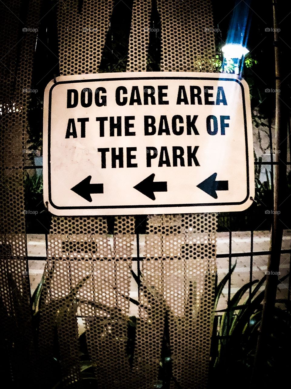 Dog park dtla