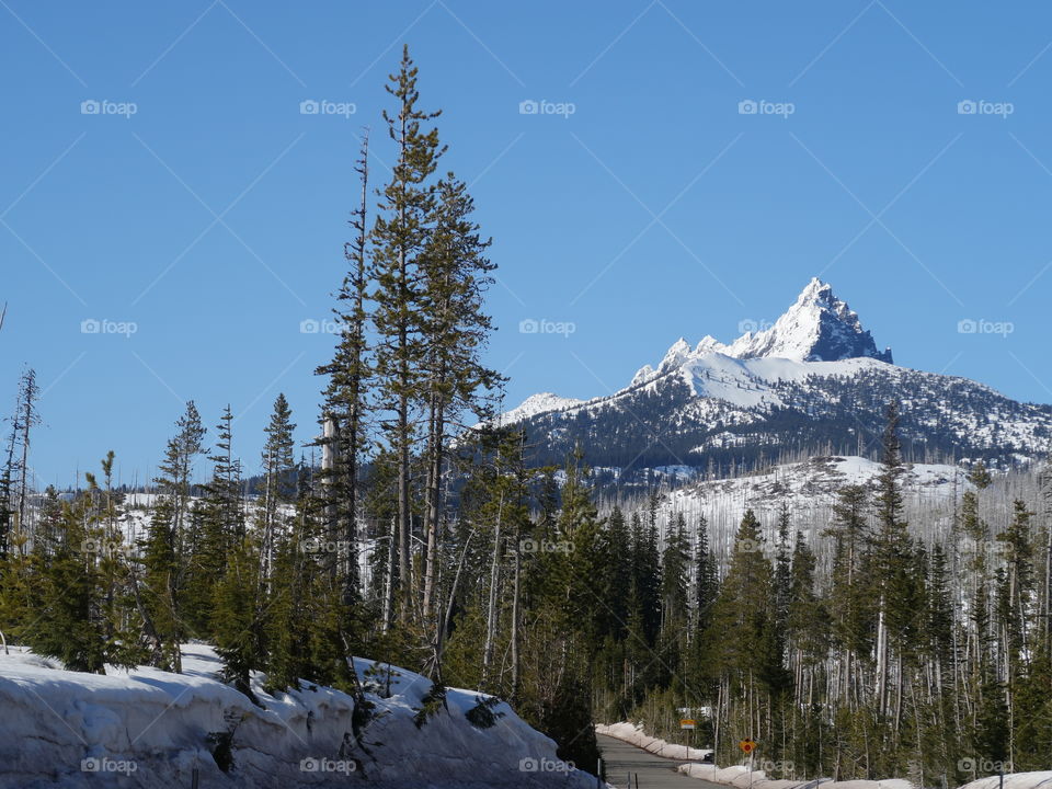 The jagged snow covered peak of Mt. Washington in Oregon’s forests and Cascade Mountain Range against a clear blue sky on a sunny spring day.