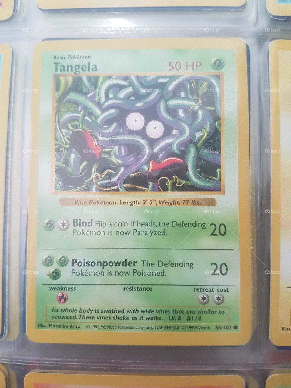 Business, World Wide Web, Number, Card, Text