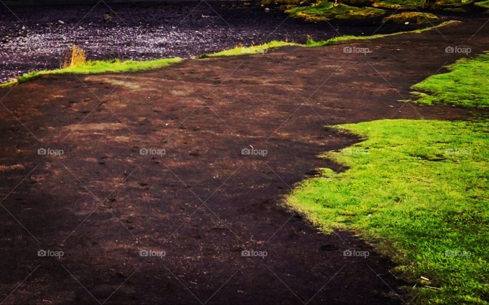 Editing choice my line