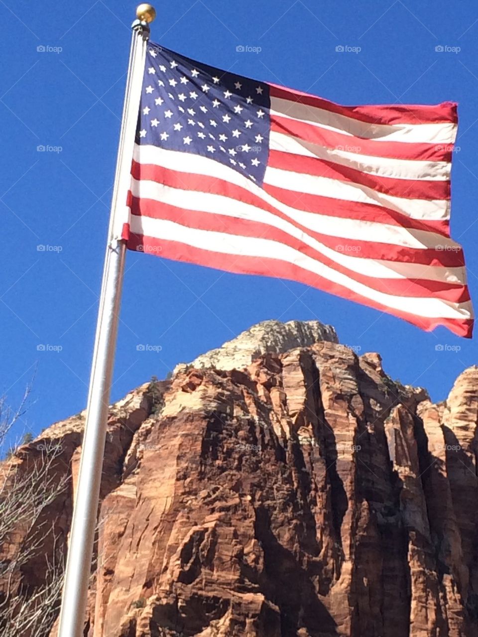 Flag over Zion