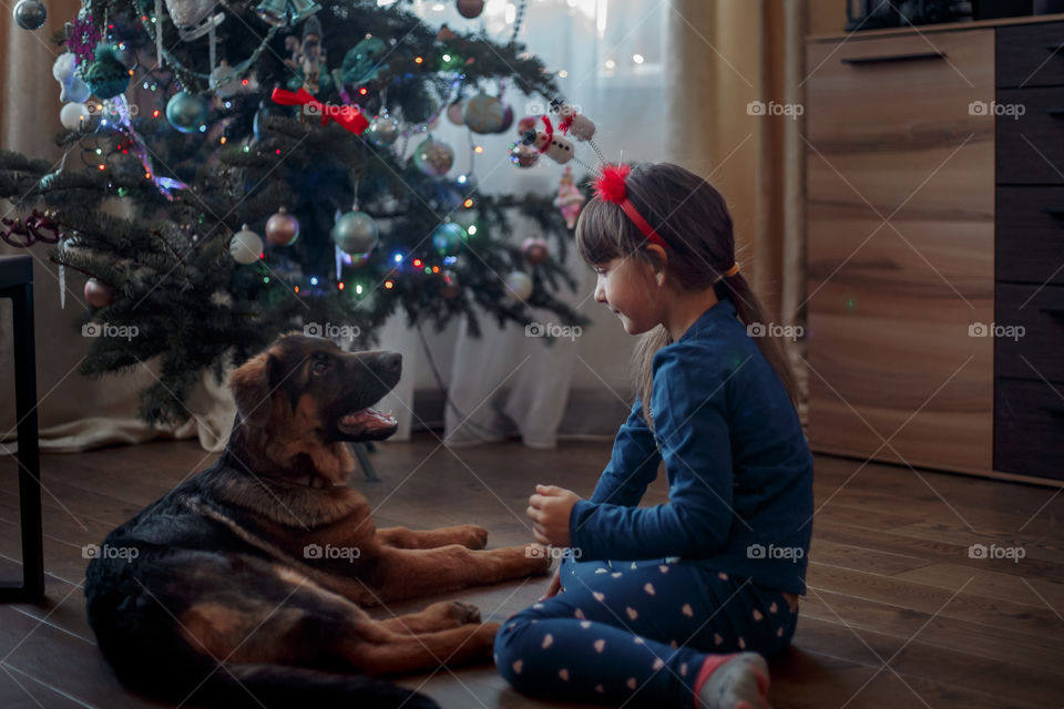 Little sisters with German shepherd puppy near Christmas tree 