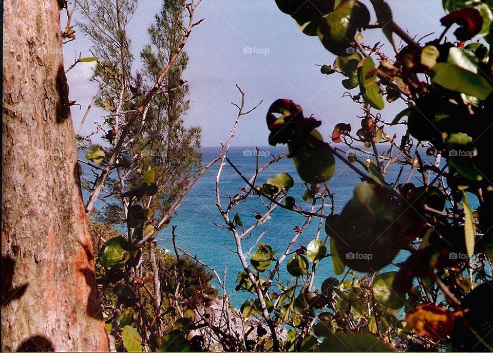 Bermuda