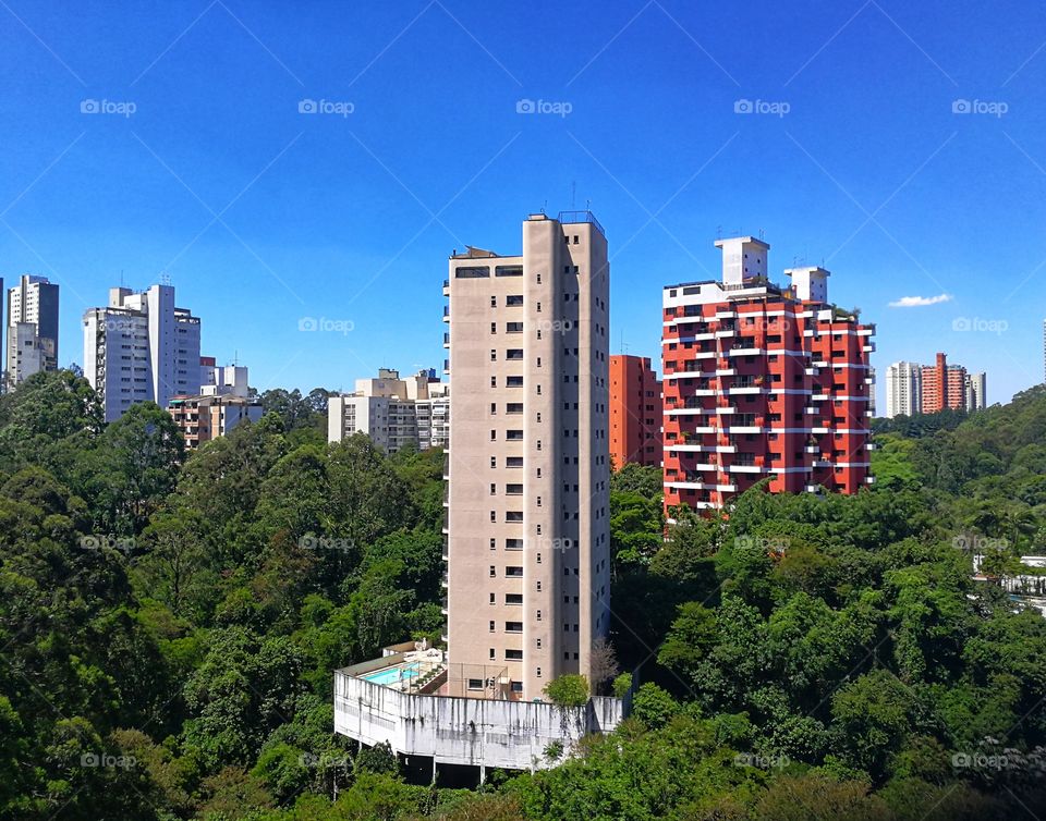 Building and Rain Forest