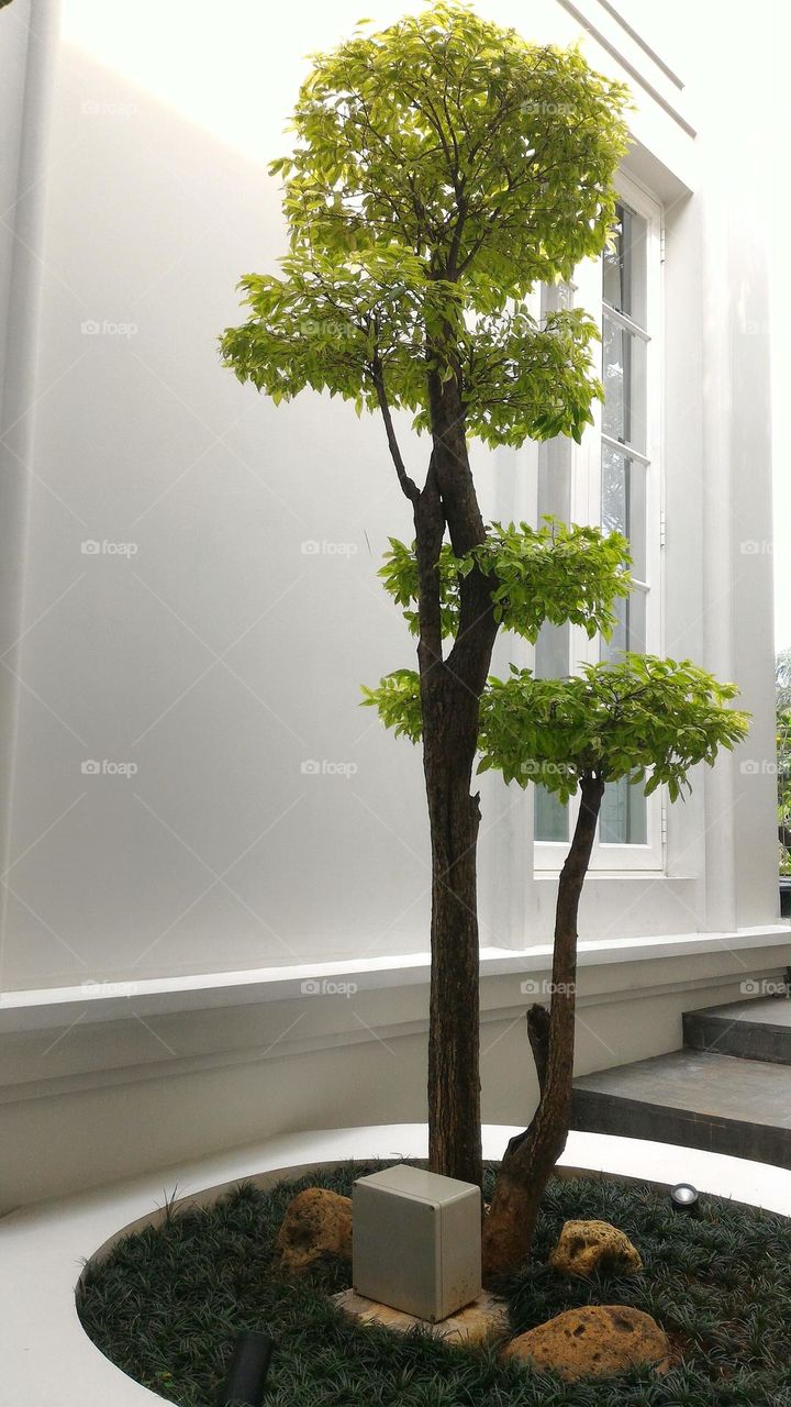 home decorative tree