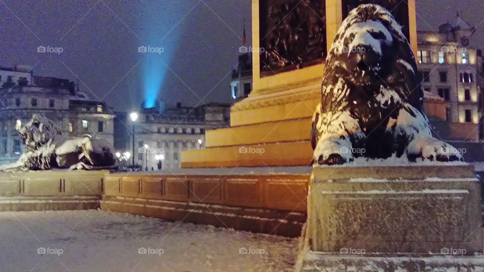 Lions at Trafalgar square in their snow coats