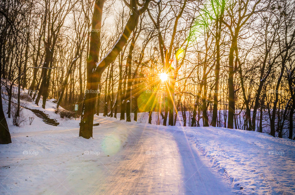 Nature landscape during sunset