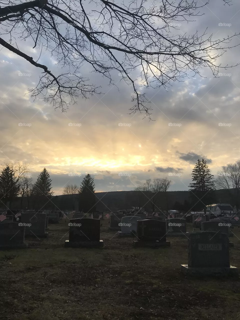 Sky