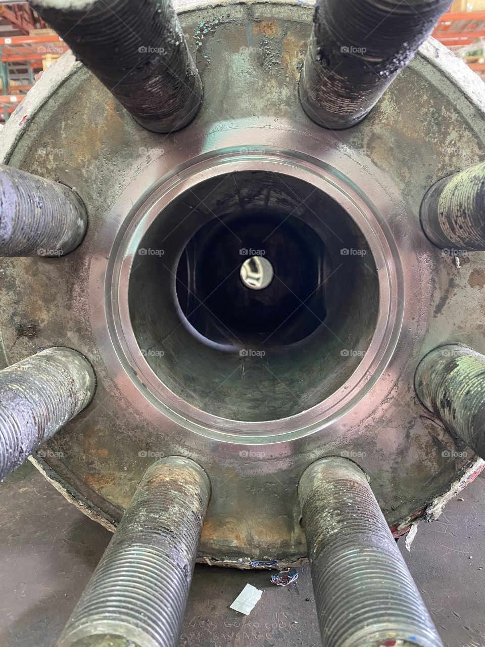 The inside of the body 