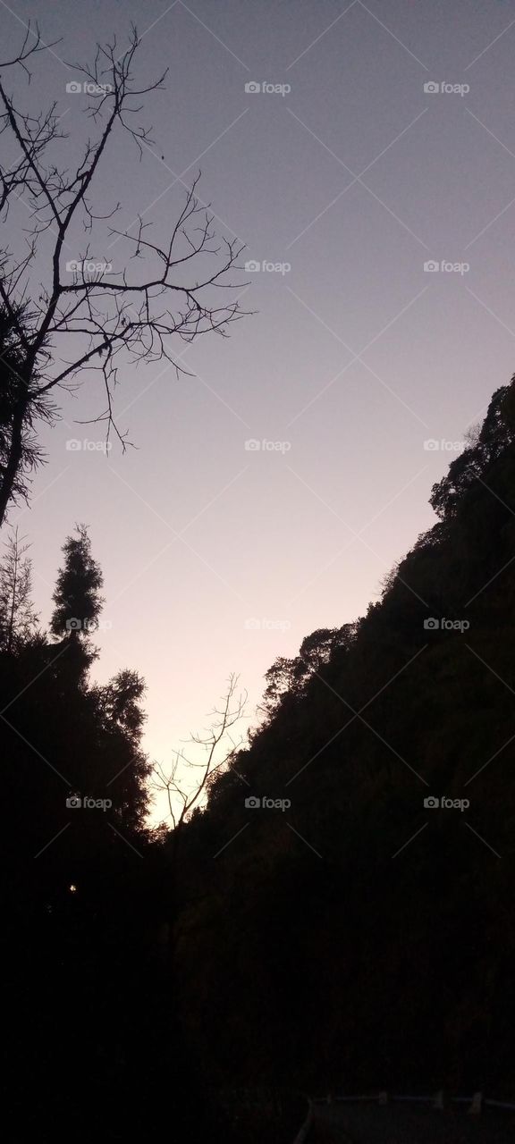 This Dark Jungle , some people  says
walk from this road can be risk there are some soul 🤫 can kill you