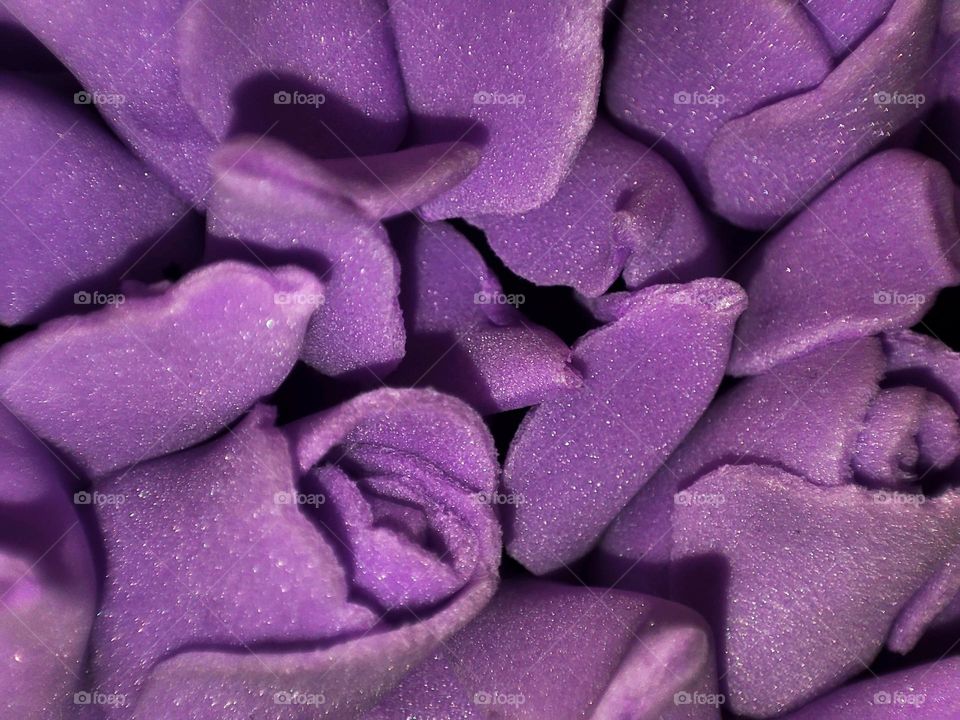 macro photo of the product