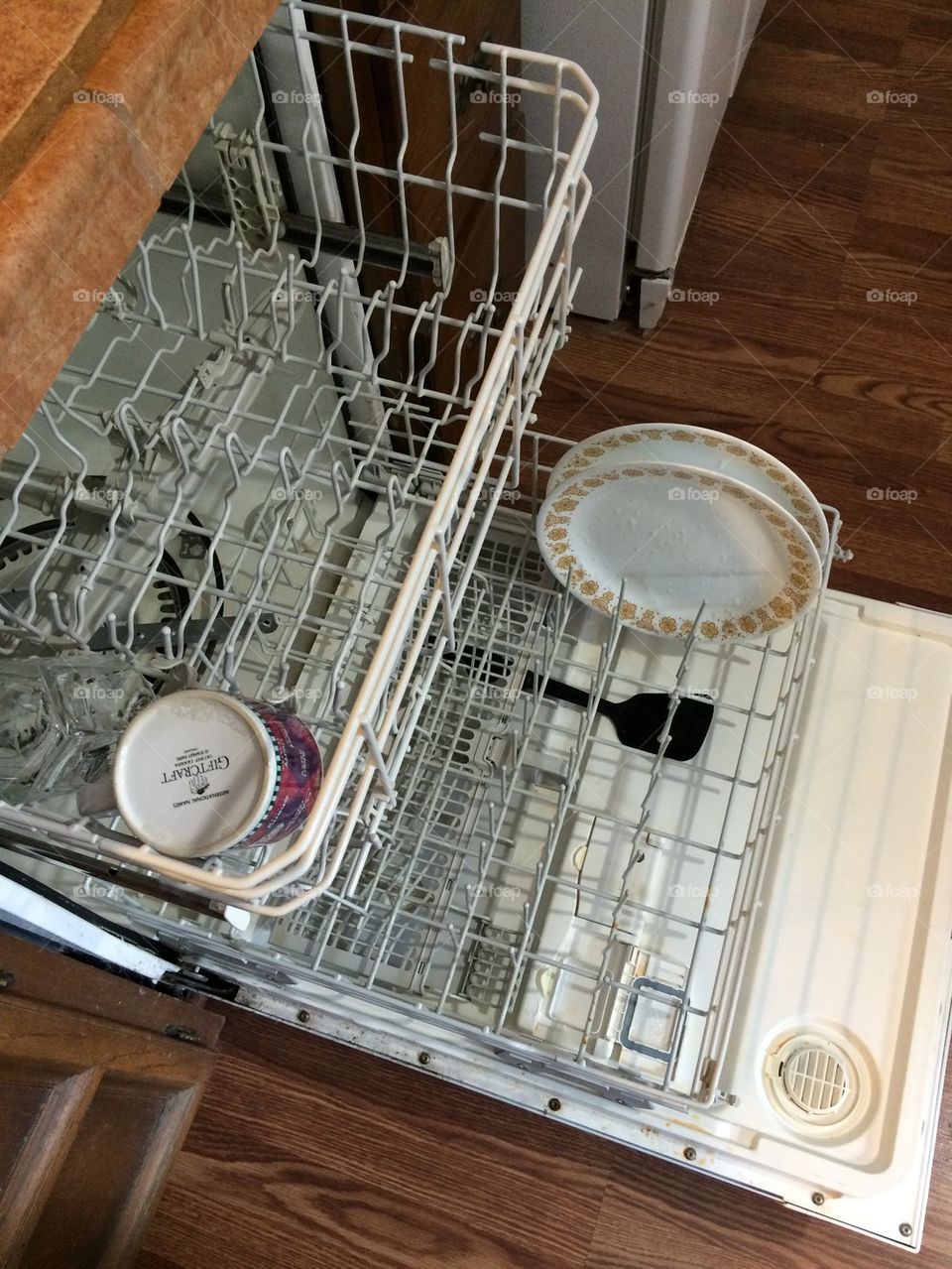 Loading Dishwasher