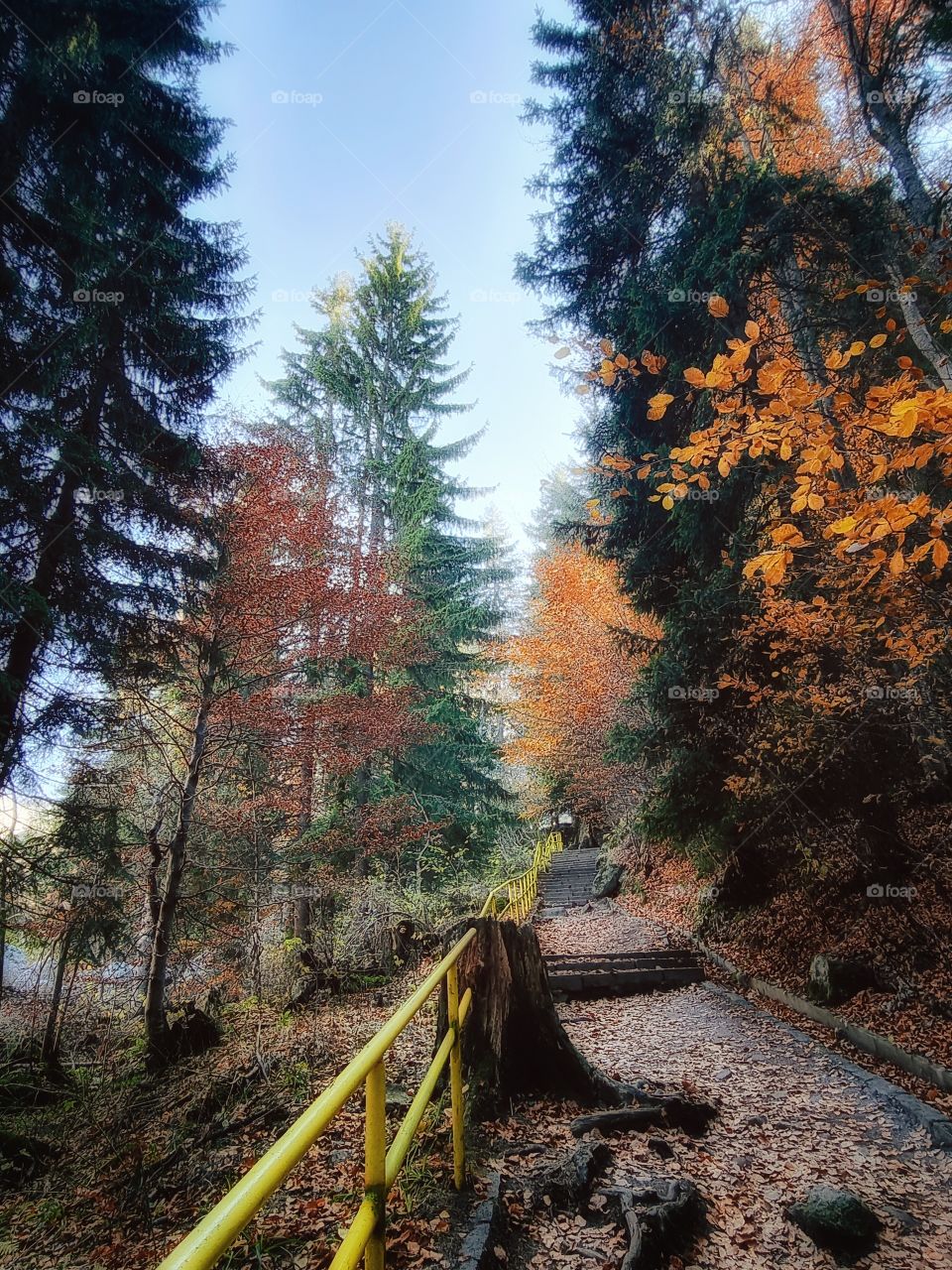 One day in the mountain