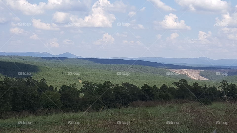 Arkansas Landscape  ( Mena)