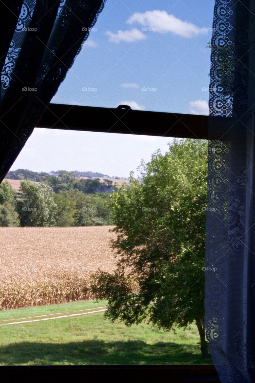 View of blue sky and clouds, cornfields and tree-covered, rolling hills through an upper-story, silhouetted window with white lace curtains on a beautiful, late summer day