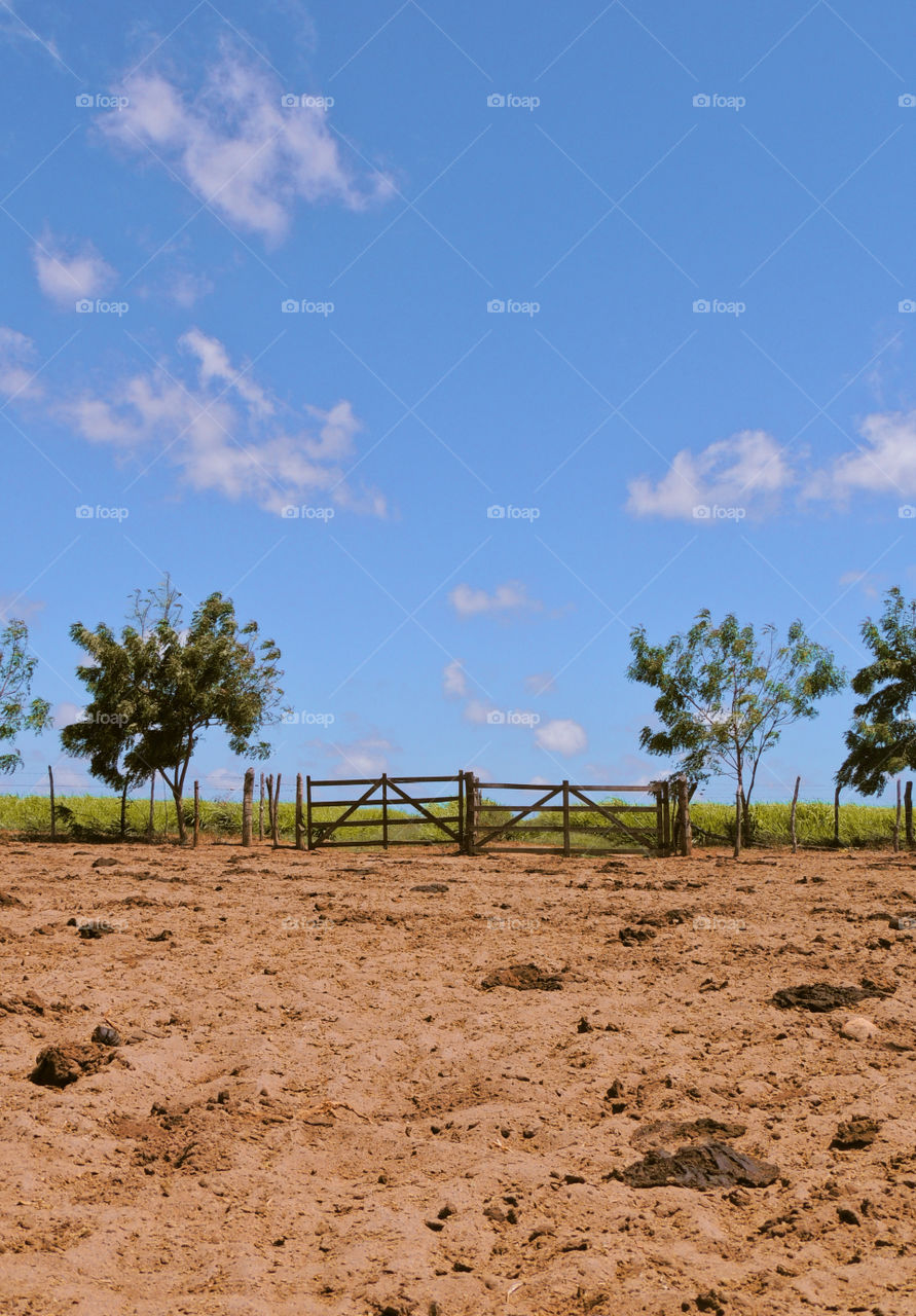 A gate made of wood to enter a farm.  It is possible to see the dry land before the gate and the green gem in the background
